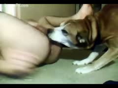 Guy lets his dog lick his ass in advance of pounding his gap 